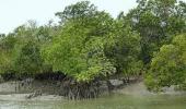 Bengal gets Rs 400 crore to develop Sundarbans tourism