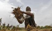 Few flaws that are plaguing India's agriculture