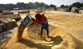 Global food prices drop 1.6% in 2013