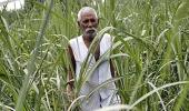 Why Rahul is wrong about the Indian farmer