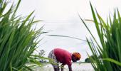 Government alert to deal with subnormal monsoon: Prez