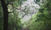 Conserve nature: Measures that can save Western Ghats ecosystem