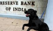 RBI may eventually tighten rates to tame inflation: HSBC