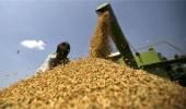 Food law adrift as government trims grain purchases