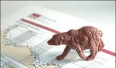 'Bear market' reviving in Google searches