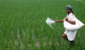 IIFCO ranked 1st among world's largest agri cooperatives