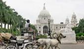 Kolkata scores high on hotel occupancy, says survey