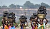 Govt may consider auctioning 8 coal blocks