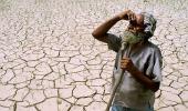 34 farmers, farm hands committed suicide every day in 2014