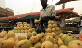 India's mango exports face threat of ban