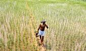 Narendra Modi backtracks on pro-business land bill