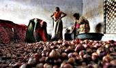 90 tonnes of Egyptian onions arrive in mandis