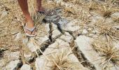 Ill-timed rain deepens farmers' distress