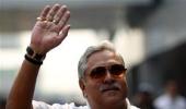 A look at some of Mallya's little-known firms