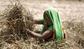 India's agri output shrinks 1st time in 5 years