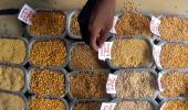 Why are pulses getting so expensive?