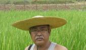 What other farmers can learn from Manipur's Devakanta