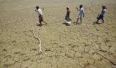 Maharashtra saw most farmer suicides in 2015