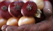 Onion output to hit record high of 203 lakh tonnes in 2015-16