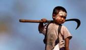 Who will benefit from the Child Labour Act, Mr Modi?