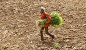 Budget 2016: Modi's panacea for rural India is as hopeless as ever