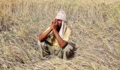 Not just rich farmers, even agri cos with Rs 215 cr profit pay no tax