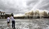 Climate change: Here's what writer Amitav Ghosh has to say