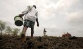 Scanty rain in June hits sowing of kharif crops