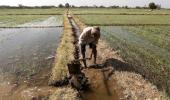 Land reforms fail, only 5% of India's farmers control 32% land