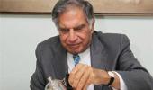 Old guard celebrates return of Ratan Tata at the helm