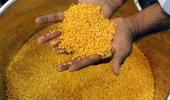 Tur dal price on rise yet again