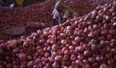 Govt bans onion export, imposes stock limit