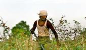 The fury of farmers