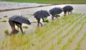 In a relief to farmers, Skymet predicts normal monsoon