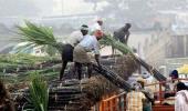 India's sugar production to cross record 30 million tonne