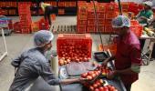 BigBasket to hire 10,000 people to speed up deliveries