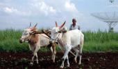 Climate change may cut farm income by 20-25%: Survey