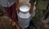 As lockdown eases, demand for milk rises