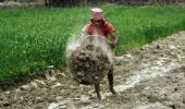 Will MGNREGA end up subsidising private farm labour?