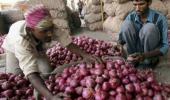 Why onion farmers are harvesting premature crop