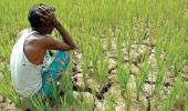 In defence of farm loan waivers