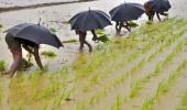 Can poor monsoons rain on the BSE's parade?