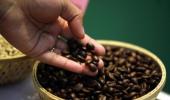 Coffee prices up 10.1%; trend likely to continue