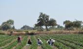 Inflation numbers show it's a double whammy for farmers