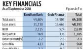Bandhan Bank...