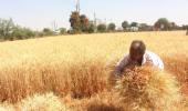 'Climate change could push up cereal prices by 29%'