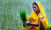 Can 'PM Kisan' help BJP in UP?