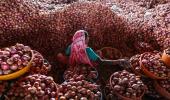 Onion prices shoot up as export curbs are lifted