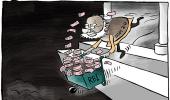 RBI Dividend:...