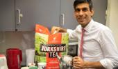 Rishi Sunak's tweet lands tea company in hot water